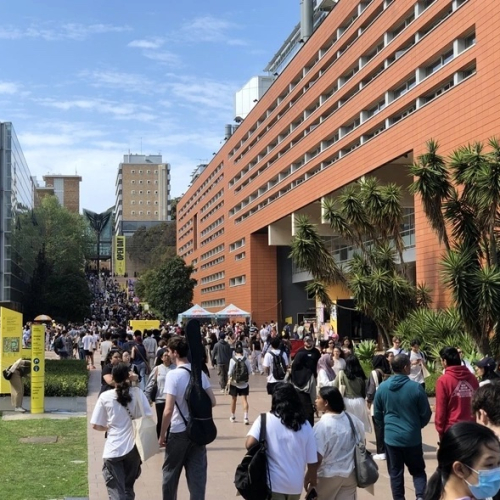 Du học sinh Việt Nam tại Úc: Cơ hội việc làm sau tốt nghiệp và những yếu tố quyết định